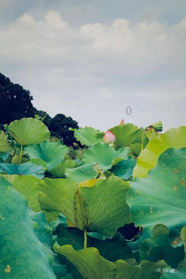太空归来80天后 神十六乘组亮相