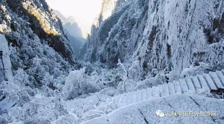 【苏宸医编技巧提分课】不是我打击医疗编的姐妹们，我想跟你们说..