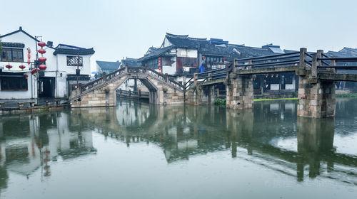 阴暗森林
