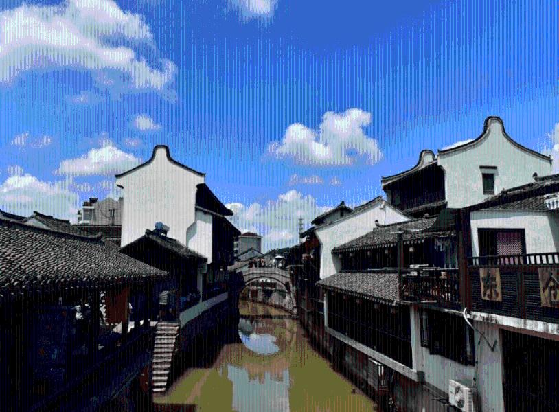 开展“阳光智护 伴你成长”微课堂活动