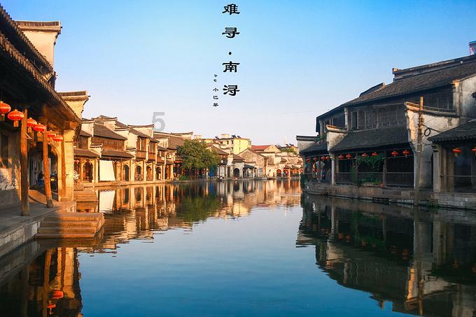 寻找萌小老虎